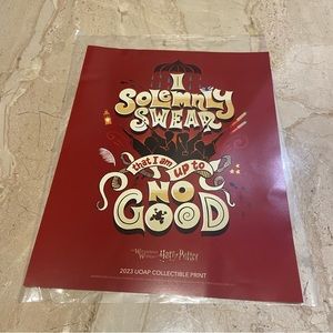 Universal Studios Harry Potter Passholder Collectible Art Print New 2023 UOAP